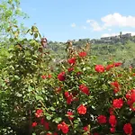 Casa Angolo Delle Rose 2 *