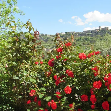 Casa Angolo Delle Rose 2 *