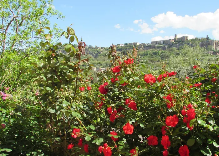 Casa Angolo Delle Rose 2 *